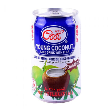 ICE COOL COCONUT JUICE 24 X 310 ML