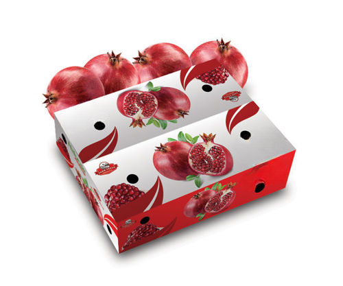 ANAR RED INDIAN - Wholesale