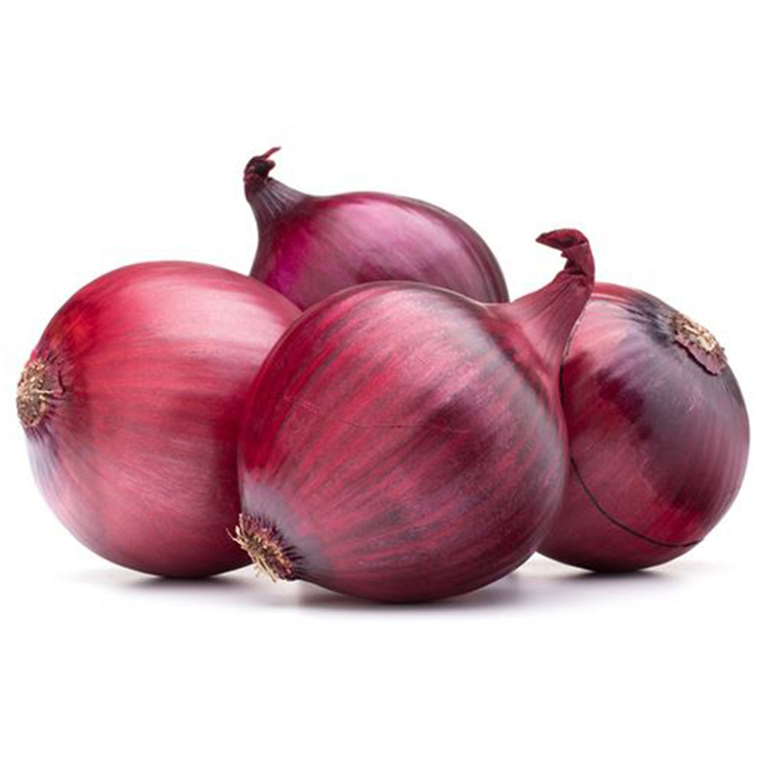 RED ONIONS  - Wholesale