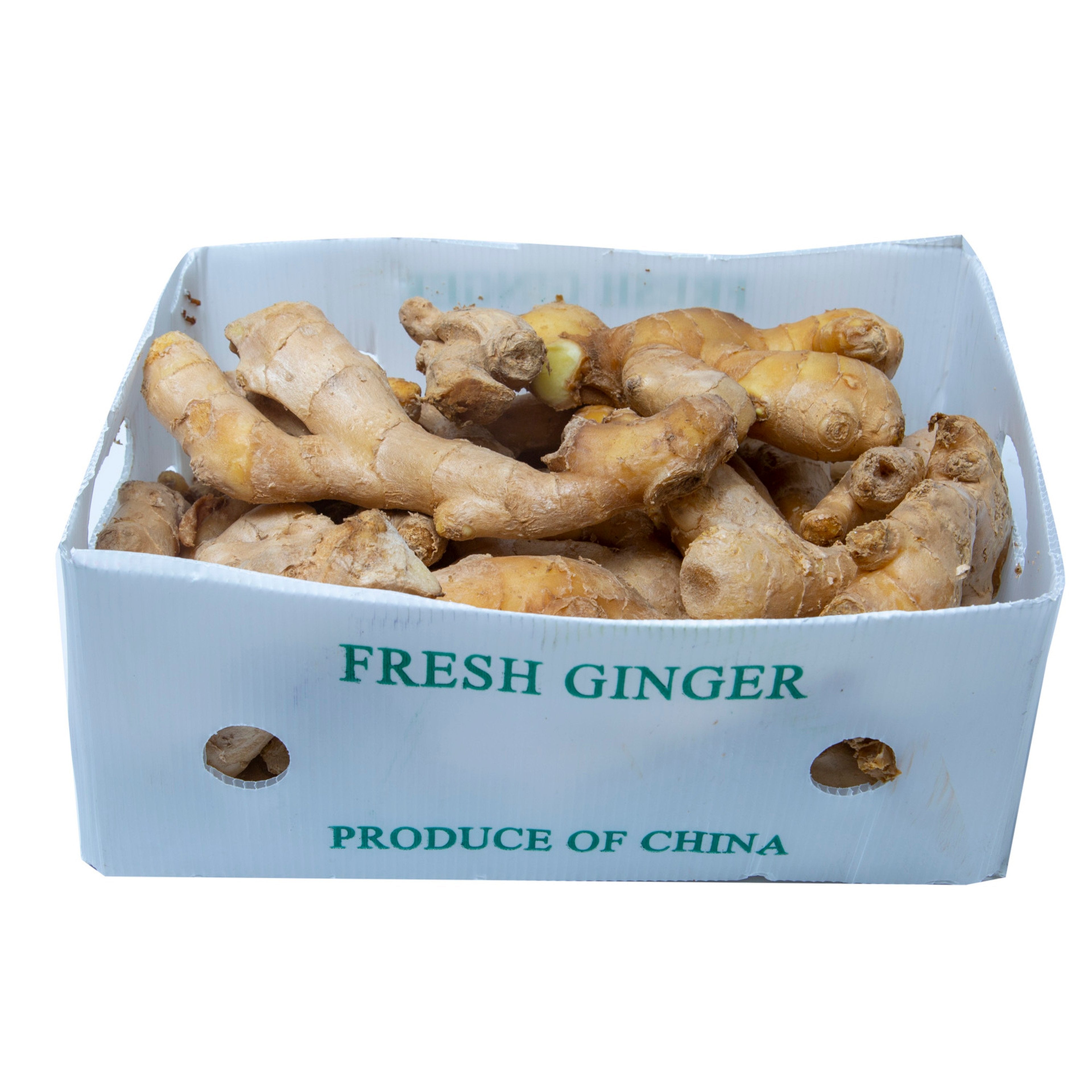 GINGER - Wholesale