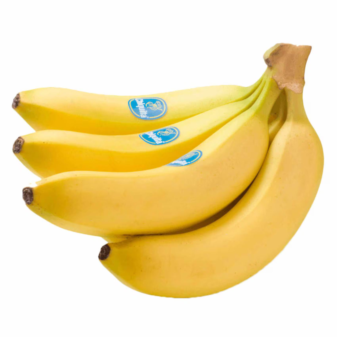 BANANA CHIQUITA