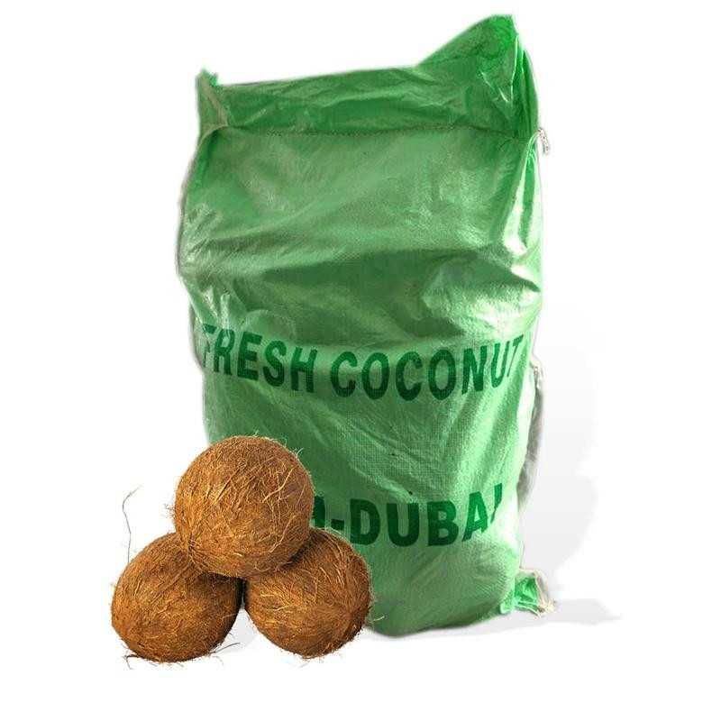 COCONUT INDIA - Wholesale