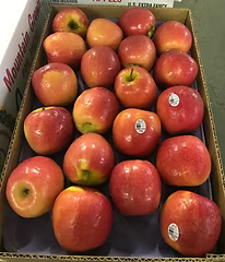 APPLE   (FUJI)