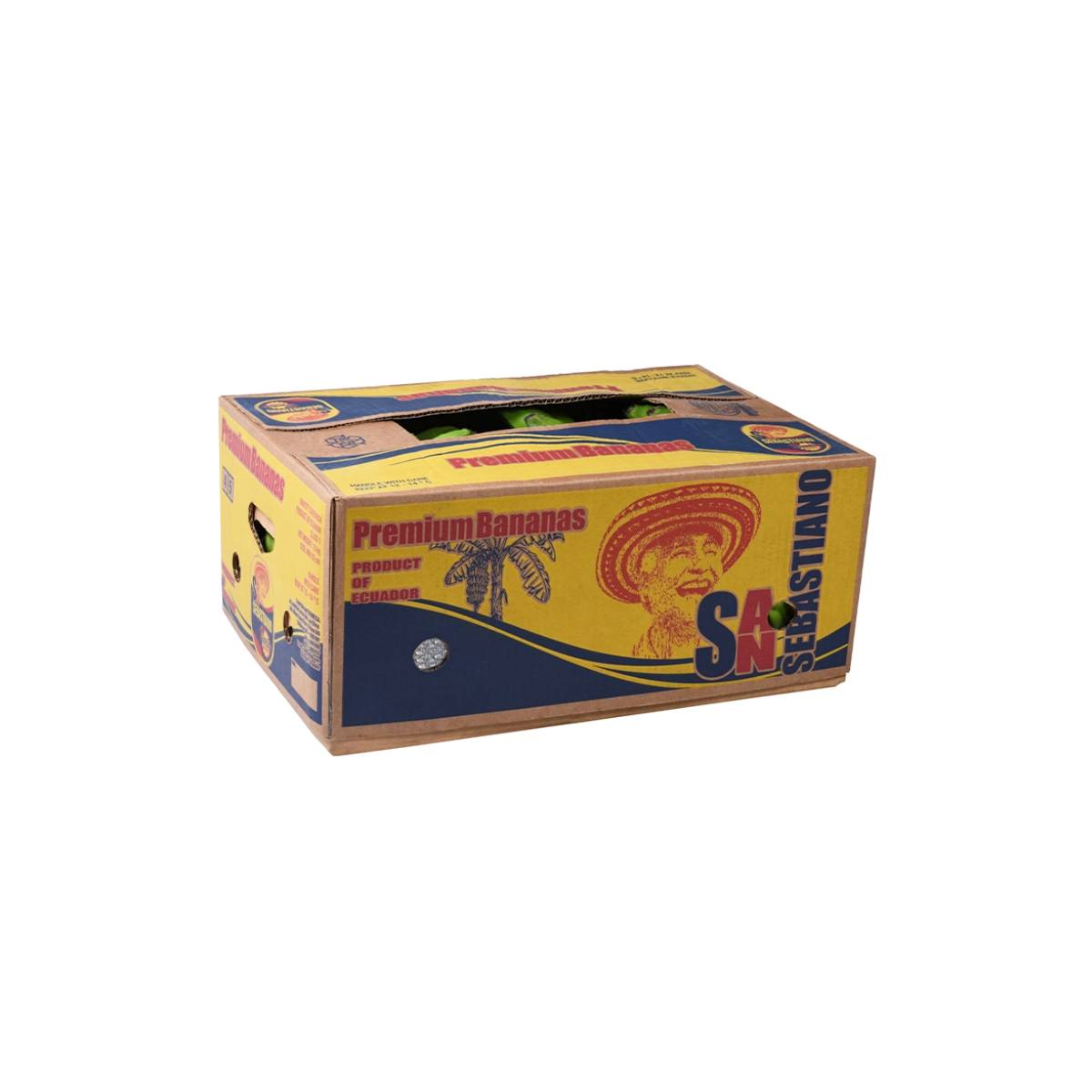 SABASTINO BANANA 13KG - Wholesale