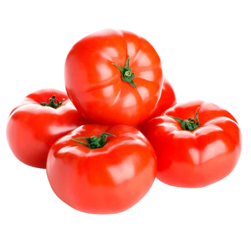 TOMATO