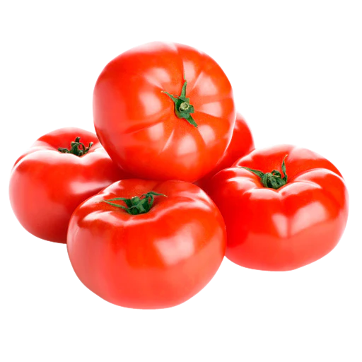 TOMATO  - Wholesale