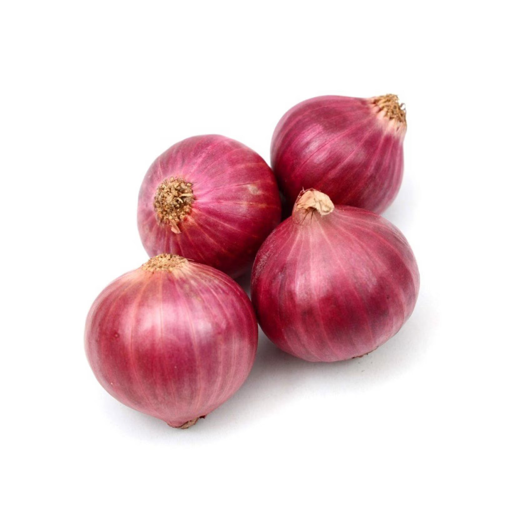 RED ONIONS  - Wholesale