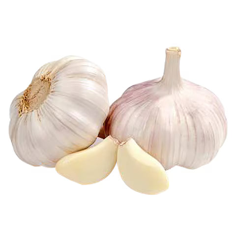 GARLIC - Wholesale