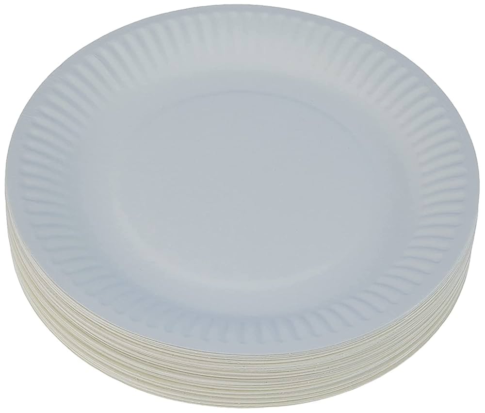 PAPER PLATE 100 PCS