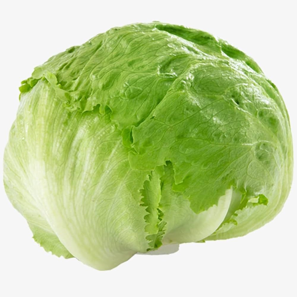 LETTUCE ICEBERG 10PCS approx: 500g/ pcs   - Wholesale