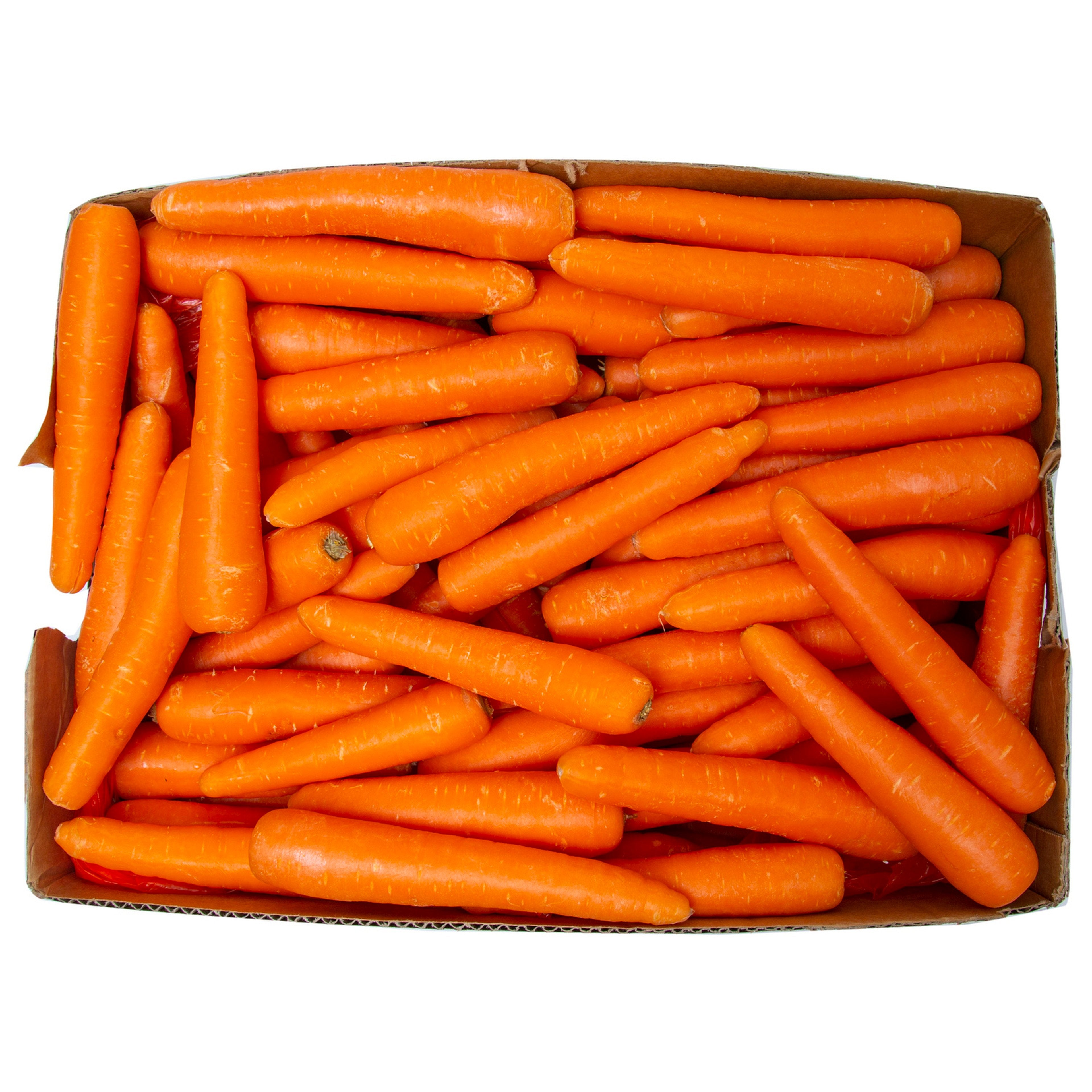 CARROT AUSTRALIA 10KG BOX  - Wholesale