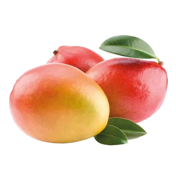MANGO NAOMI EGYPT - TRAY