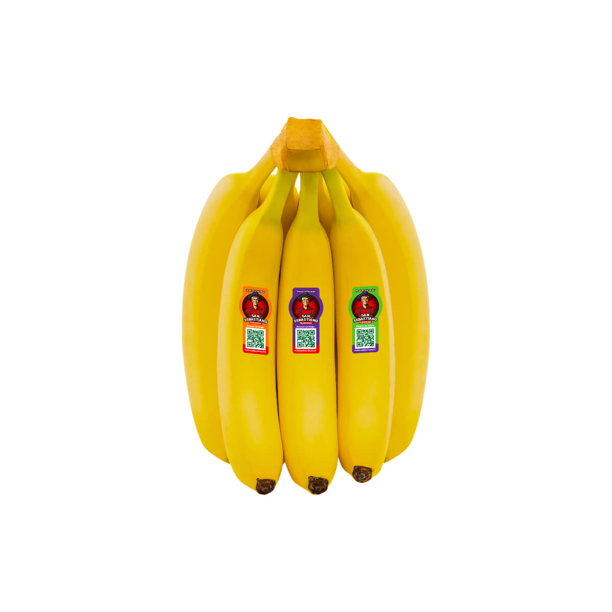BANANA SABASTINO