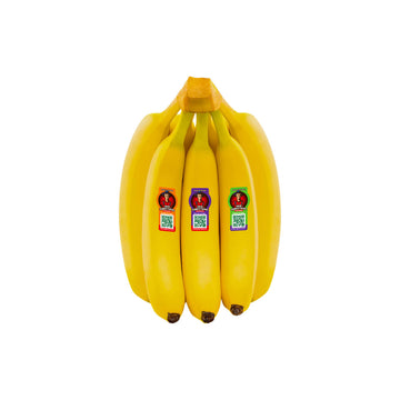 BANANA SABASTINO