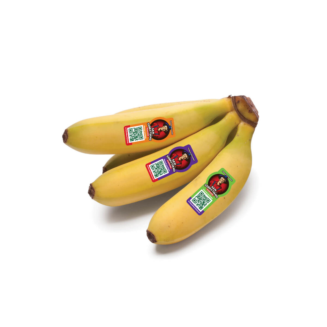 SABASTINO BANANA 13KG - Wholesale