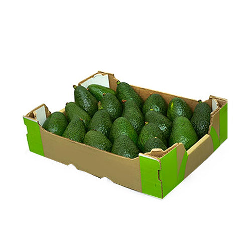 AVOCADO SANTA ROSA MEXICO - Wholesale