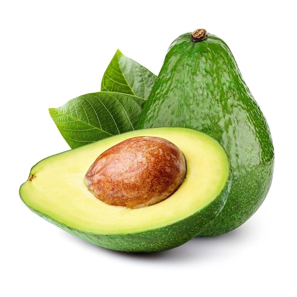 AVOCADO KENYA - Wholesale
