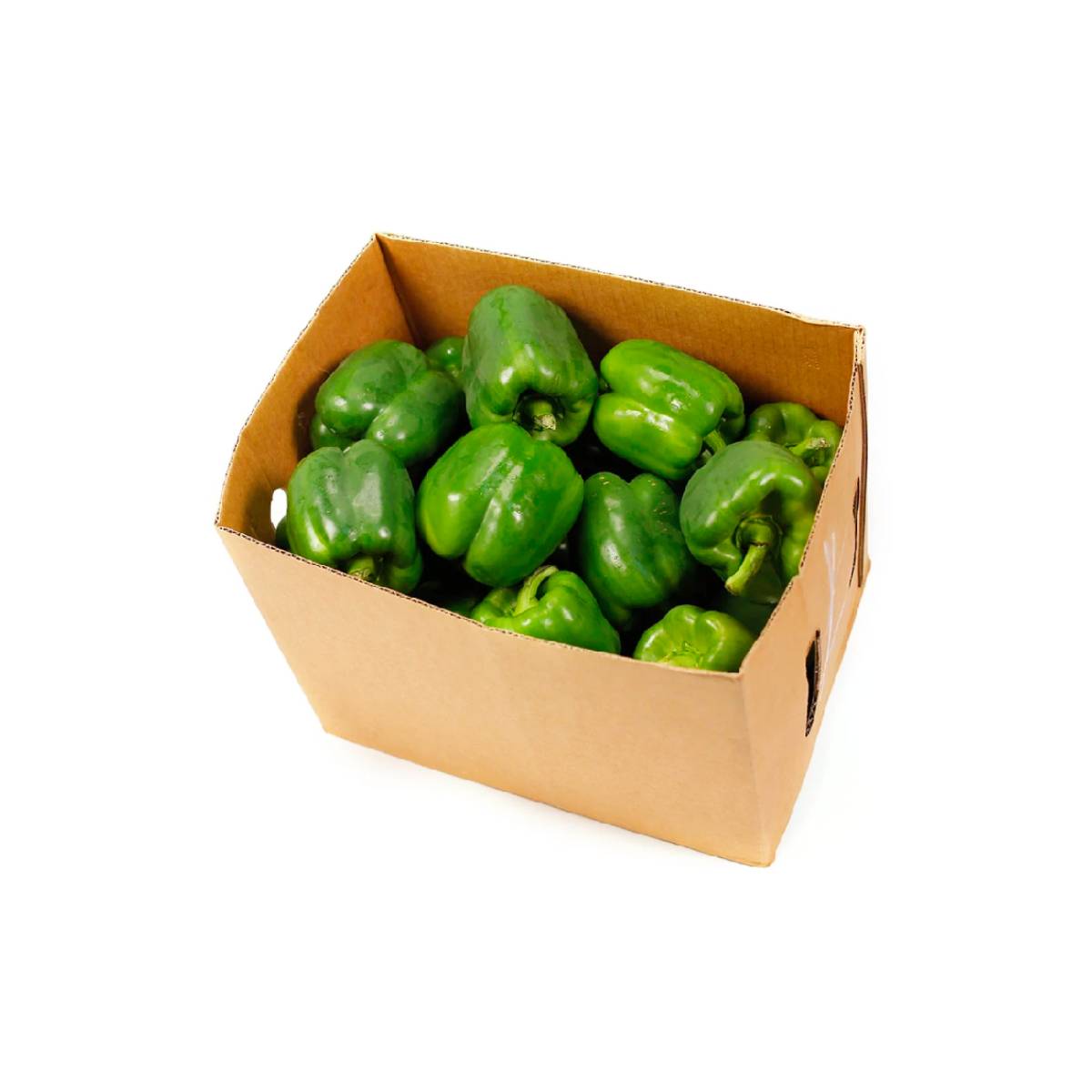 GREEN CAPSICUM - Wholesale