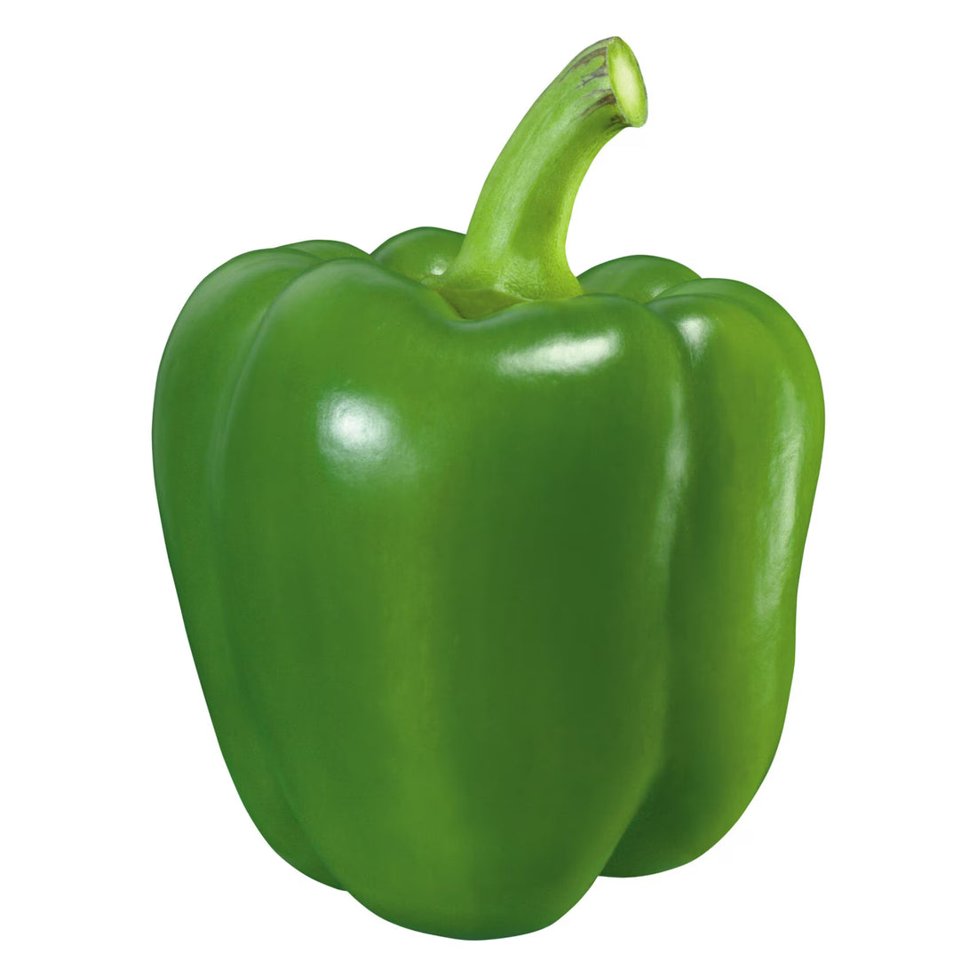 GREEN CAPSICUM - Wholesale