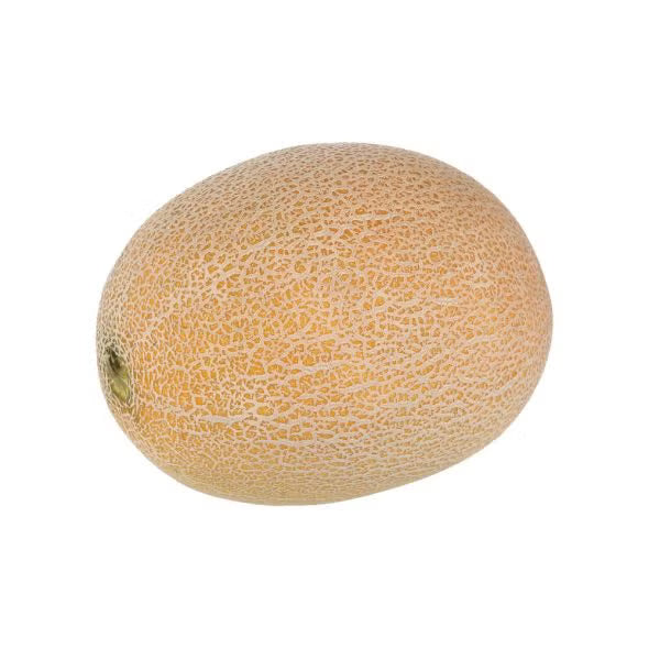 SWEET MELON 6 PCS BOX (10-12 KG) - Wholesale