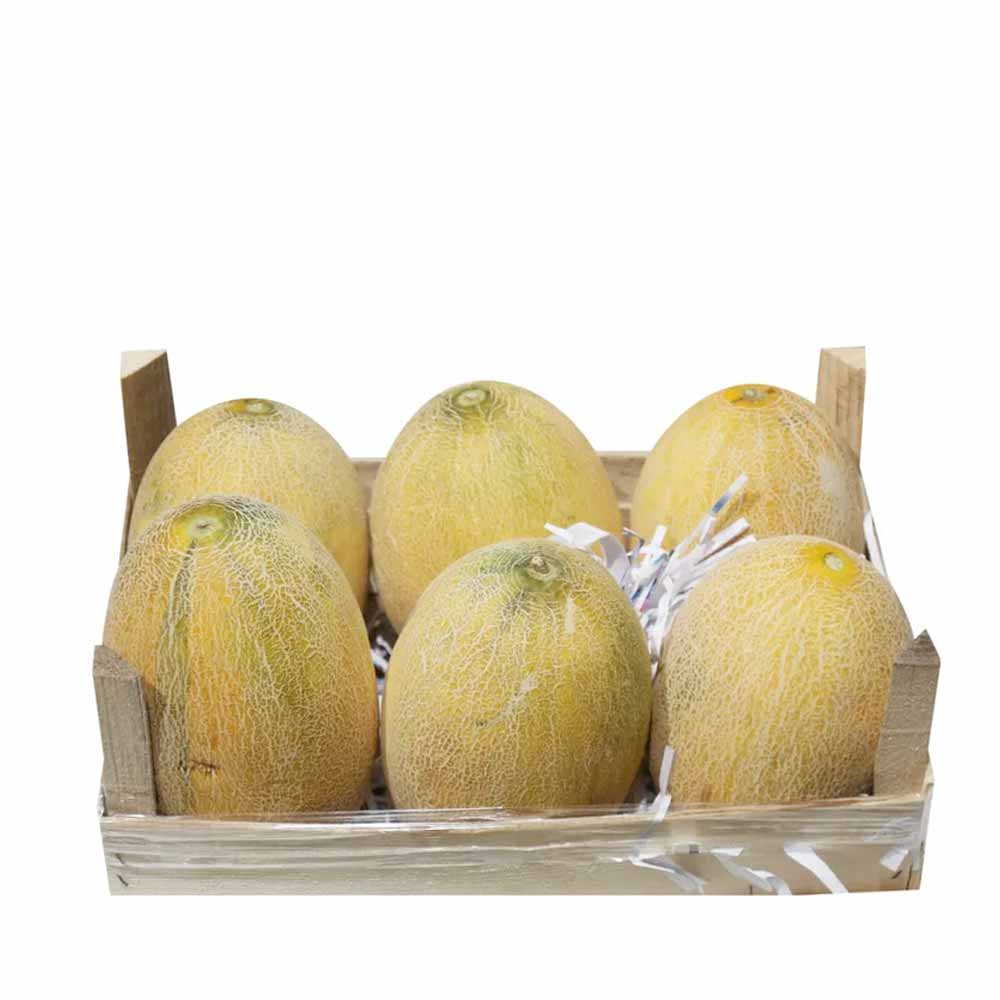 SWEET MELON 6 PCS BOX (10-12 KG) - Wholesale