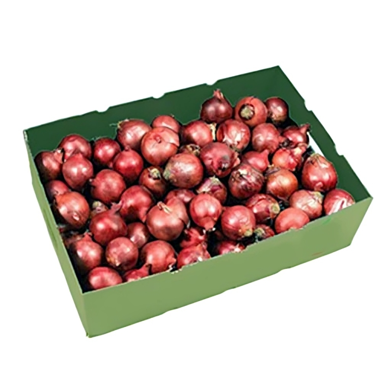 RED ONIONS  - Wholesale
