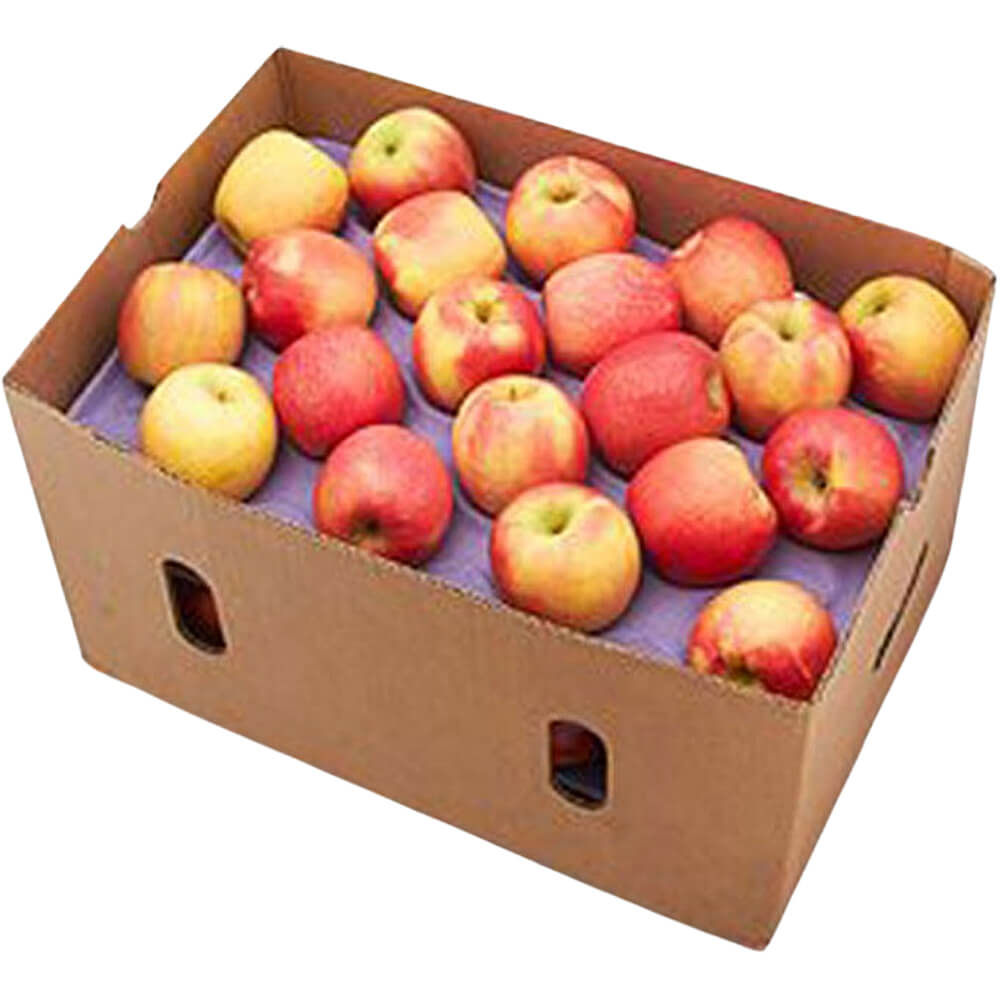 APPLE ROYAL GALA