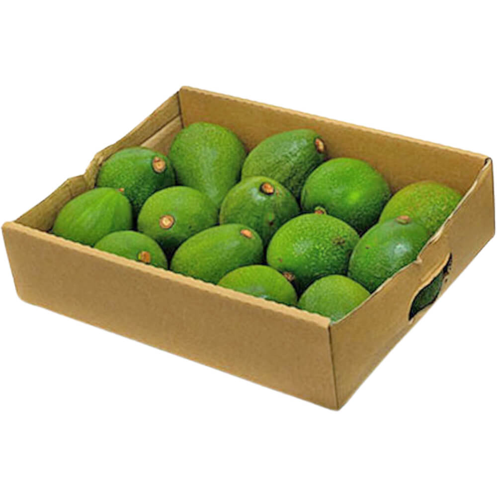 AVOCADO KENYA