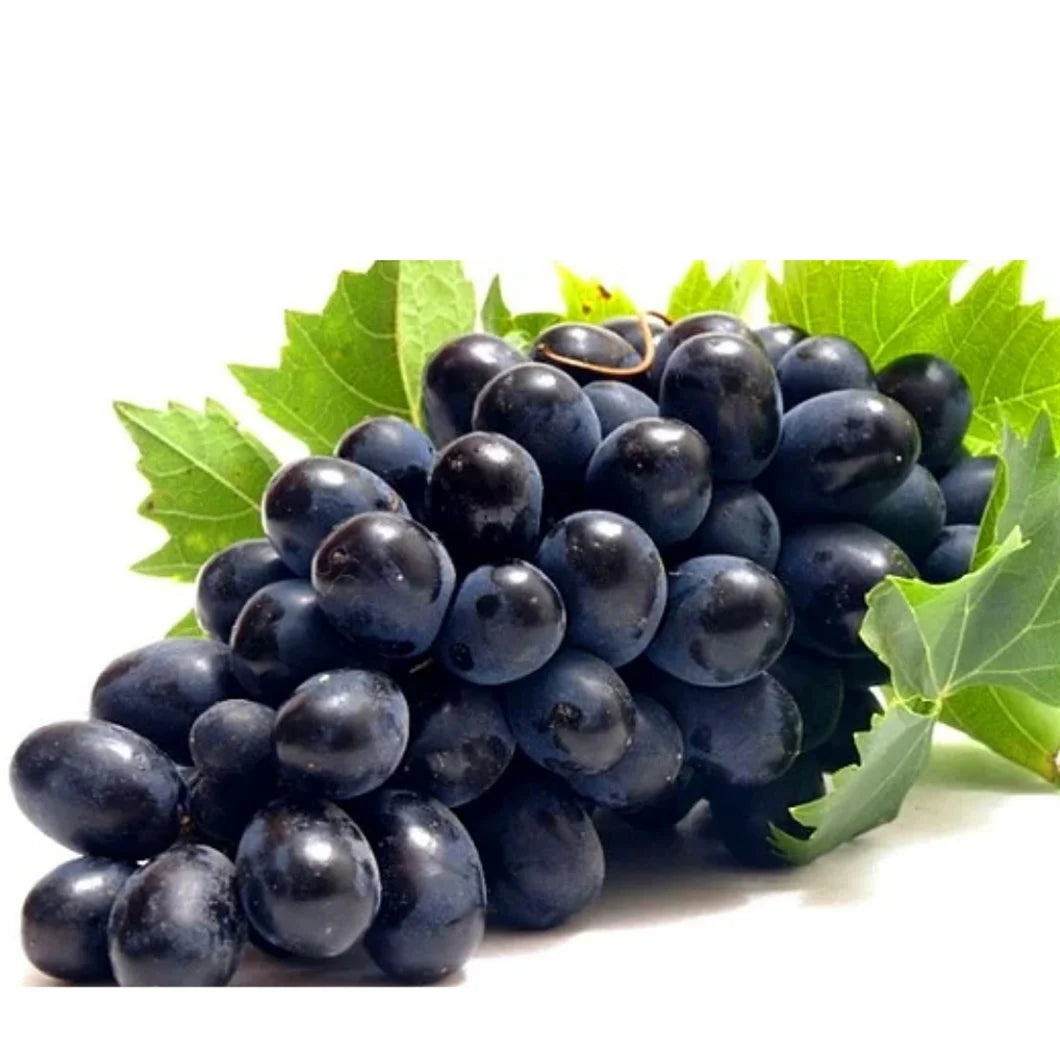 GRAPES BLACK (EGYPT)