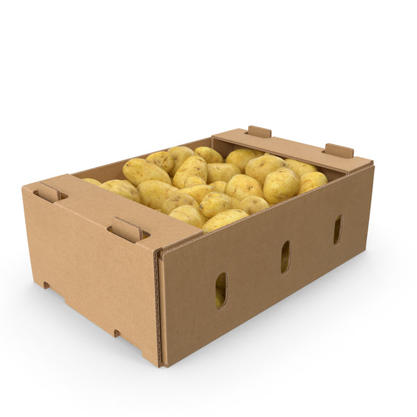 POTATO LOOSE - Wholesale