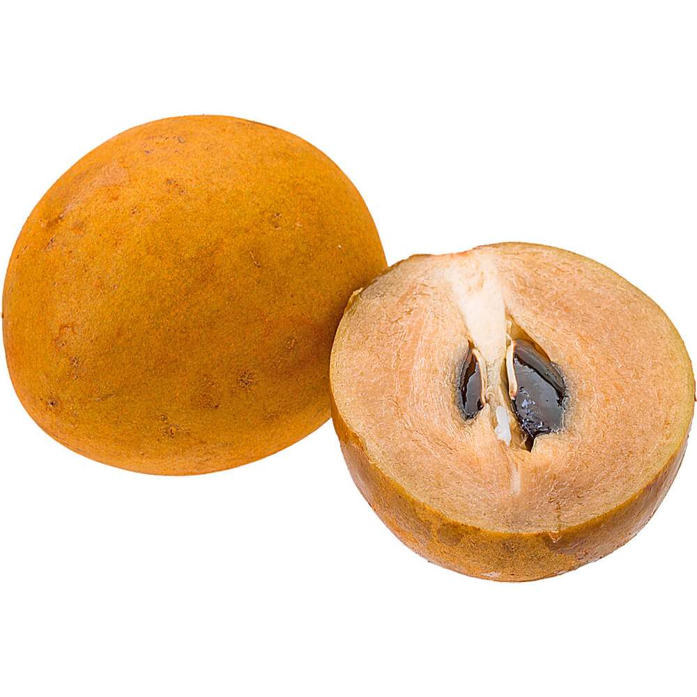 CHOKOO INDIAN - Wholesale