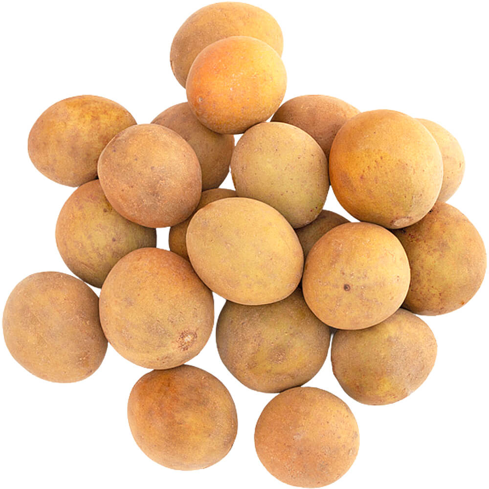 CHOKOO INDIAN - Wholesale