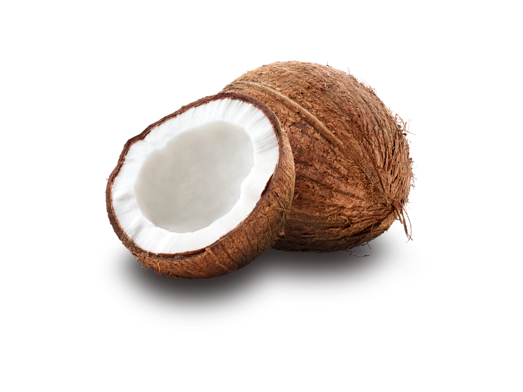 COCONUT INDIA