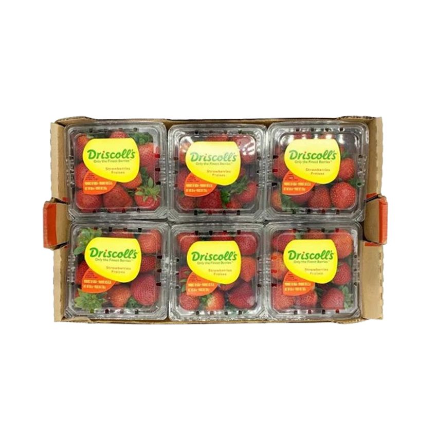 STRAWBERRY FRESH 12 X 250gm - Wholesale