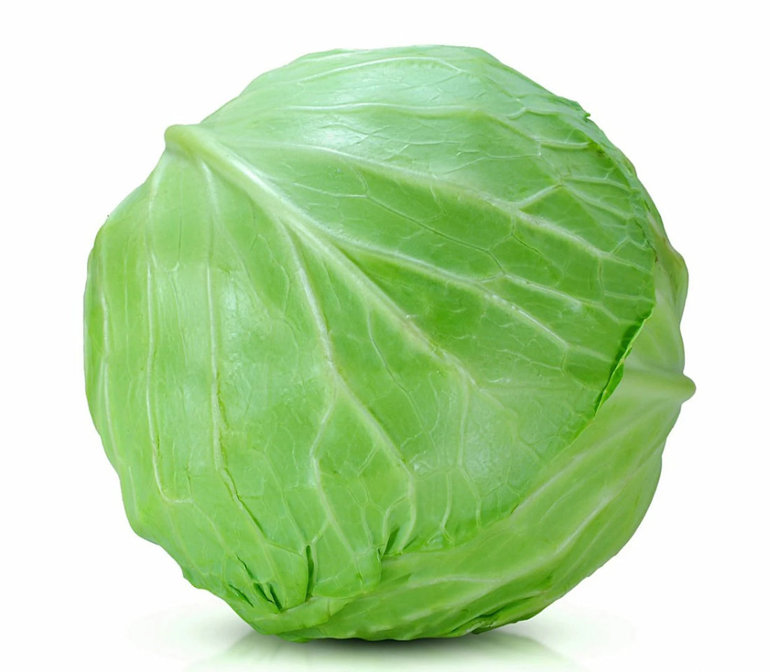 CABBAGE 6PCS BOX approx: 500-700g PER PCS  - Wholesale