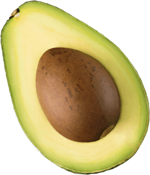 AVOCADO SANTA ROSA (MEXICO)