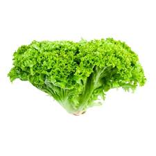 LETTUCE.  "LOLLO BIONDA" 1PCS approx 300g