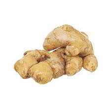 GINGER - Wholesale