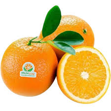 ORANGE EGYPT VALANCIA 72