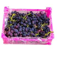 GRAPES BLACK (EGYPT)