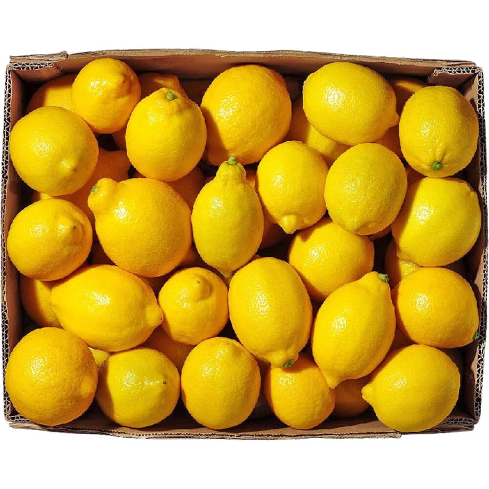 LEMON AFRICA 15KG BOX - Wholesale