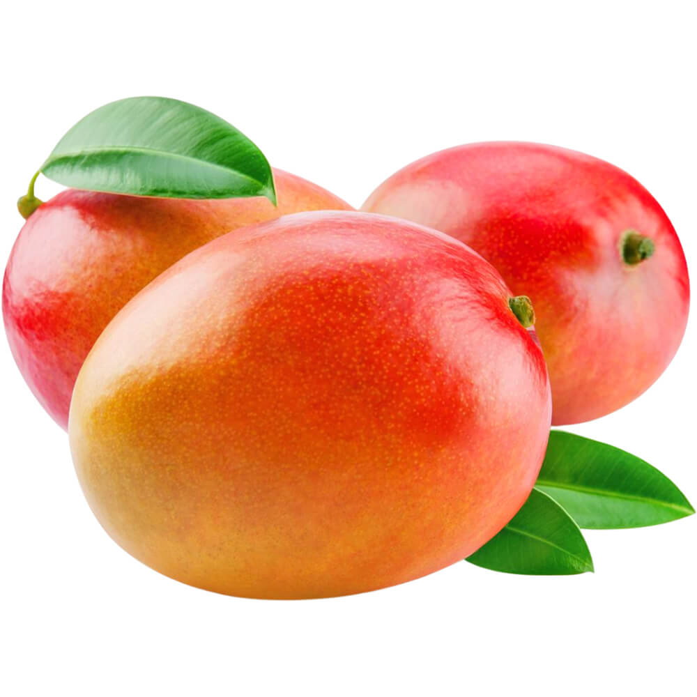 MANGO KENYA - Wholesale