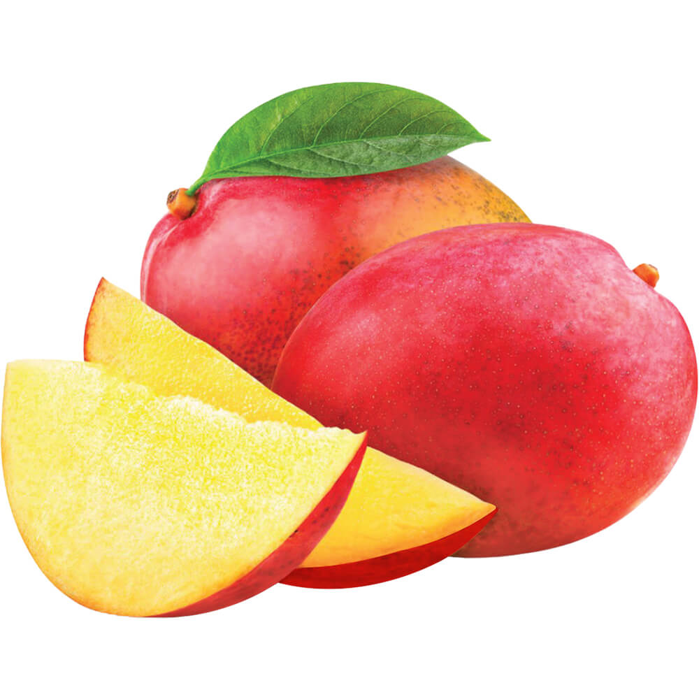 MANGO NAOMI EGYPT - TRAY