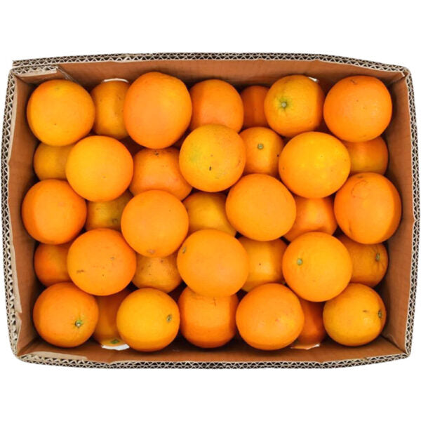 ORANGE AFRICA VALANCIA 64 - Wholesale