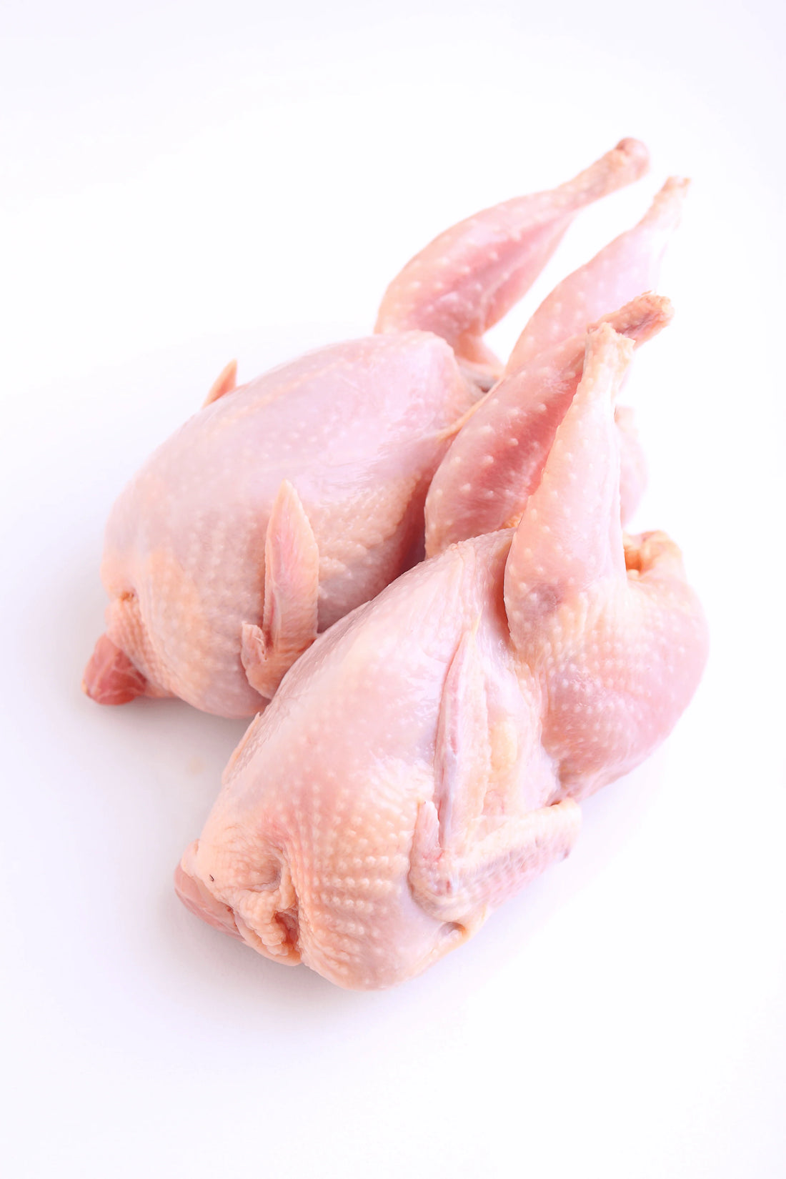 GERMANIA FROZEN QUAILS 600 GM