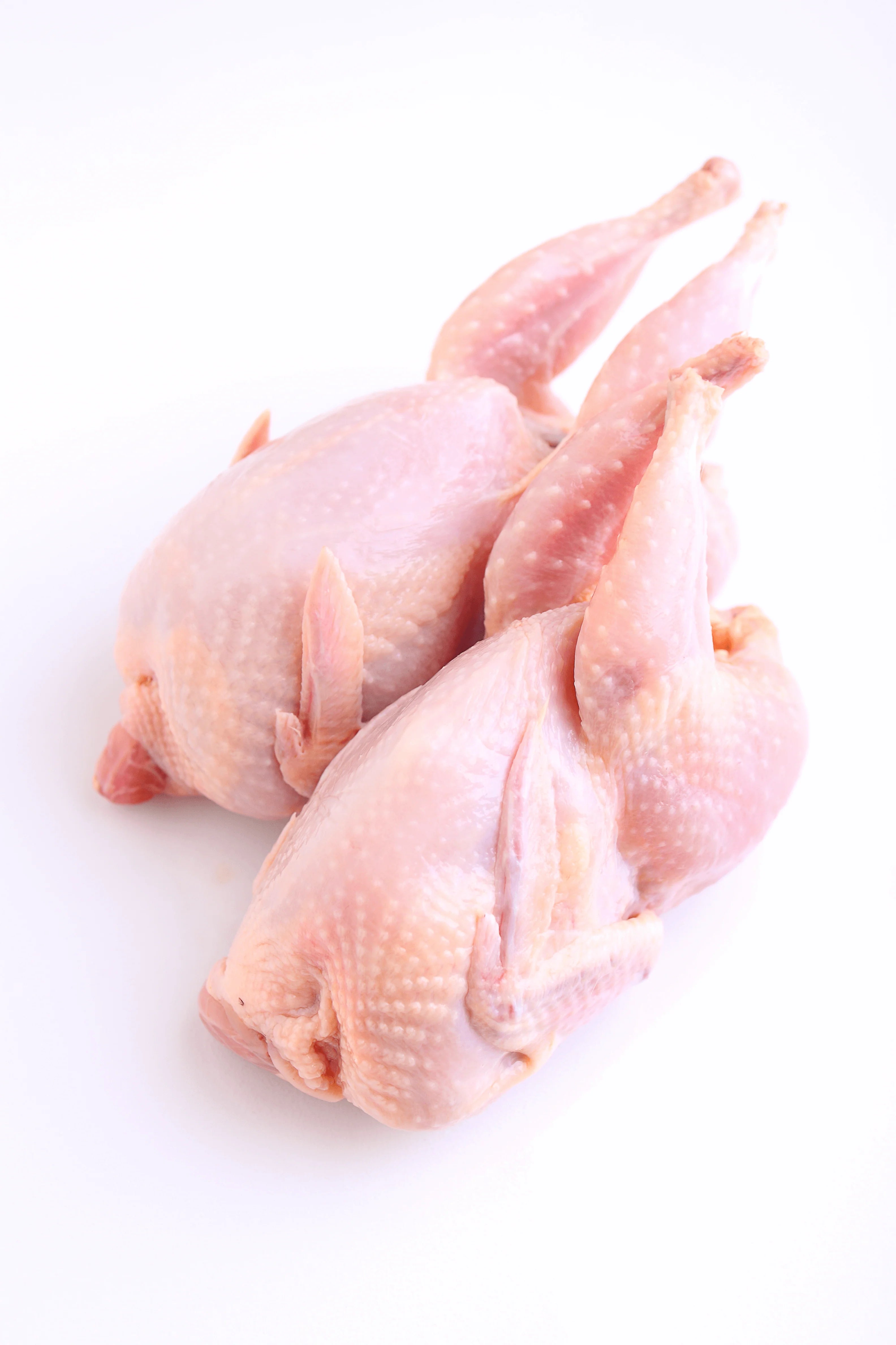 GERMANIA FROZEN QUAILS 16 X 600 GM - Wholesale