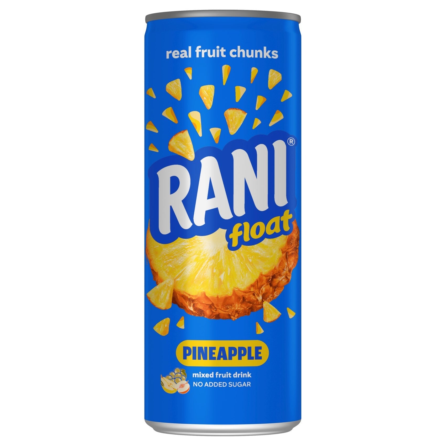 RANI FLOAT PINEAPPLE DRINK - Wholesale