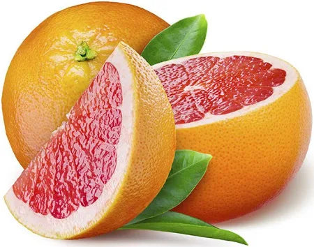 GRAPE FRUIT 15KG- Wholesale