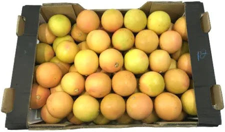 GRAPE FRUIT 15KG- Wholesale