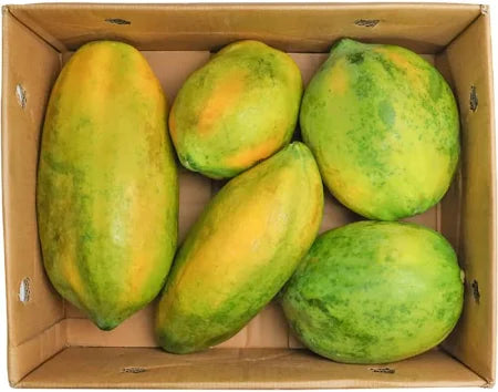 PAPAYA SRI LANKA 6KG- Wholesale